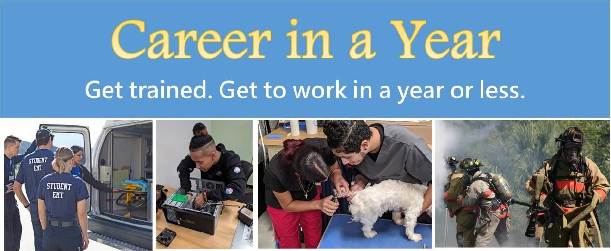 ALTC career in a year students 